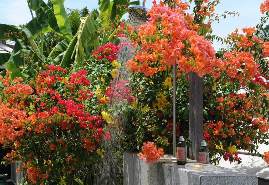 Choeng Mon Samui Blu, Villa With Private Pool מראה חיצוני תמונה